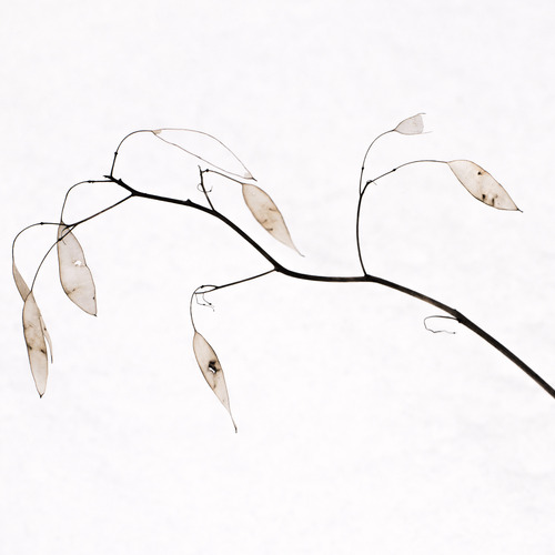 Photo #14098575