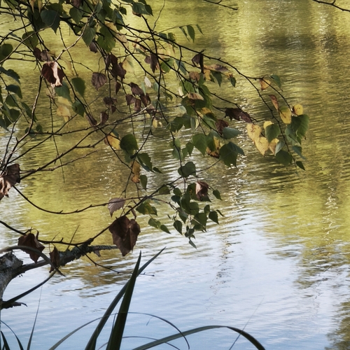 Photo #14098588