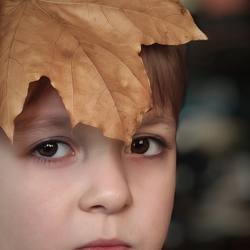 Photo #14098600