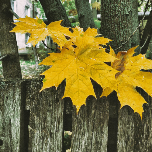 Photo #14098644