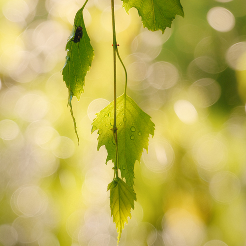 Photo #14098645