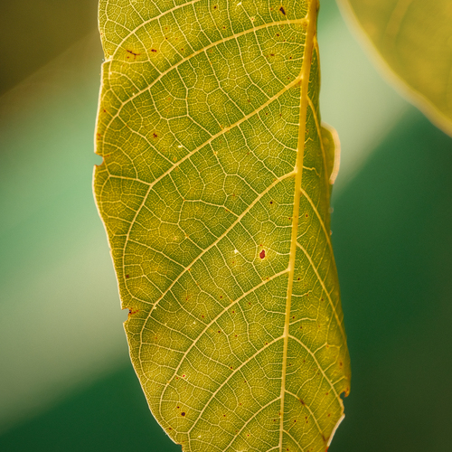 Photo #14098647