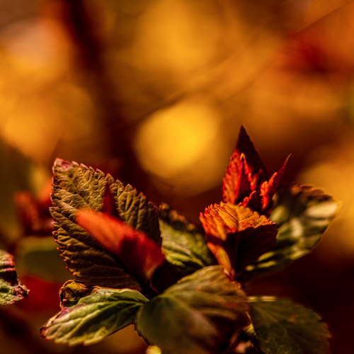 Photo #14098658