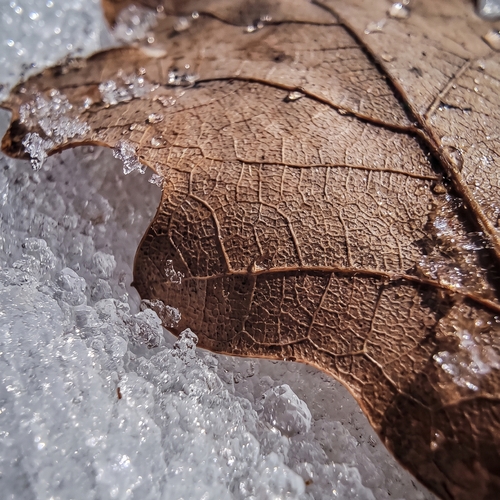 Photo #14098671