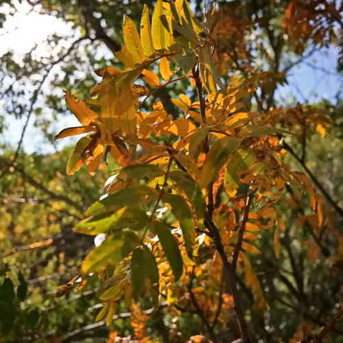 Photo #14098680