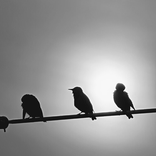 Photo #14098686