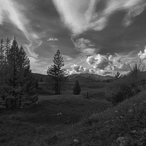 Photo #14098705
