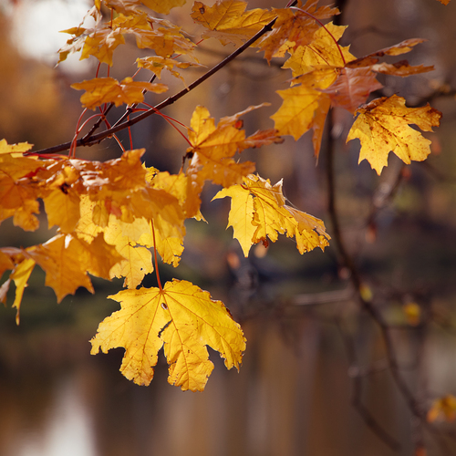 Photo #14098749