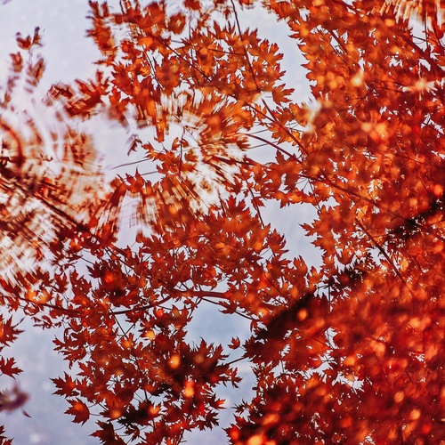 Photo #14098757
