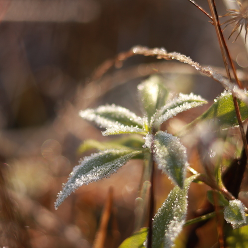 Photo #14098810