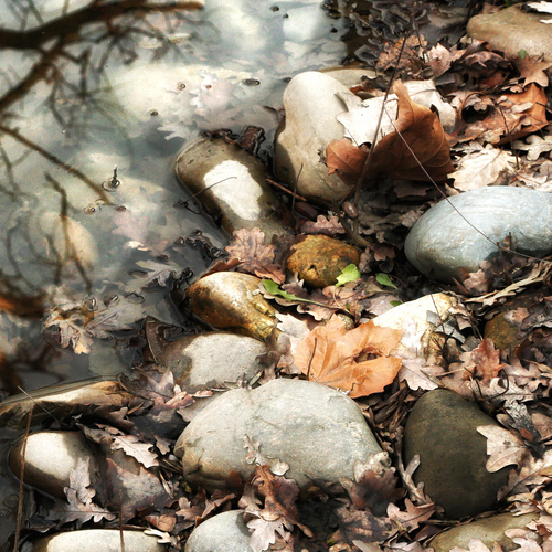 Photo #14098815
