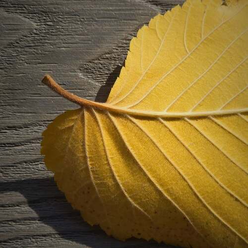 Photo #14098822