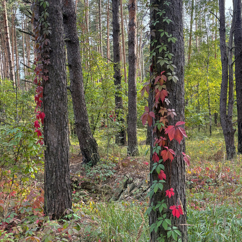 Photo #14098826