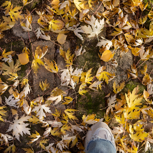 Photo #14098847