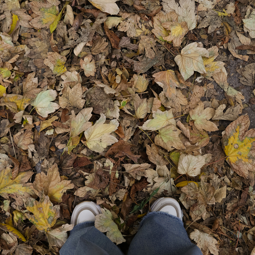 Photo #14098849