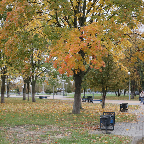 Photo #14098877