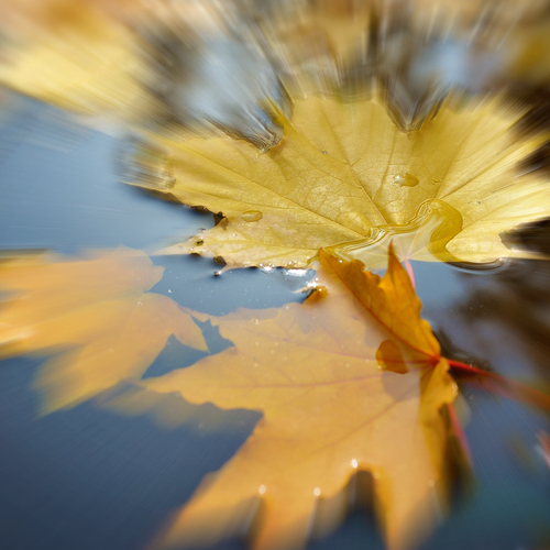 Photo #14098884