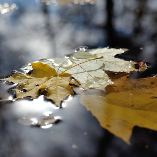 Photo #14098886