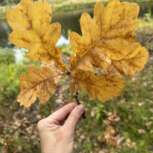 Photo #14098899