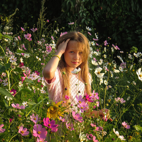 Photo #14098907