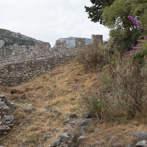 Photo #14098948