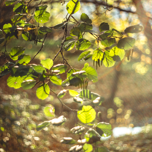 Photo #14098978