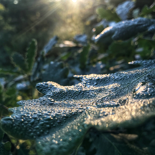 Photo #14099023