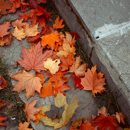 Photo #14099066