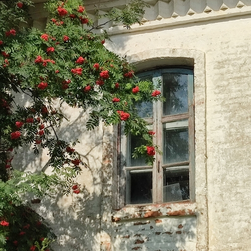 Photo #14099076