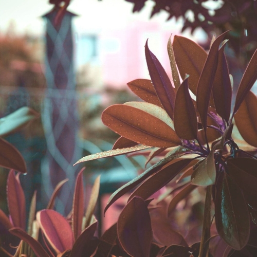 Photo #14099310