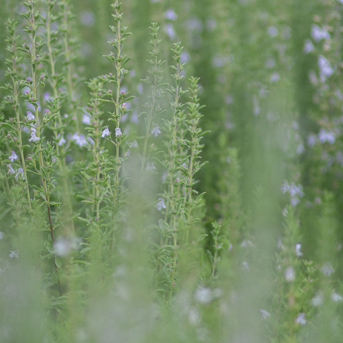 Photo #14099328