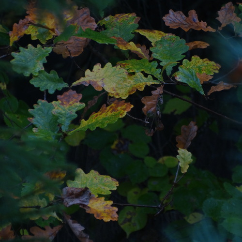 Photo #14099358