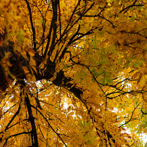 Photo #14099375