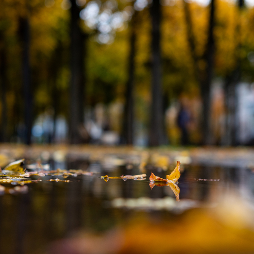 Photo #14099377