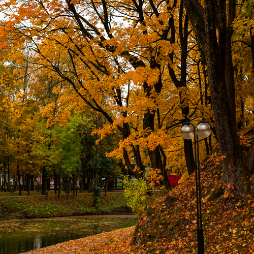 Photo #14099384