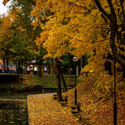 Photo #14099387