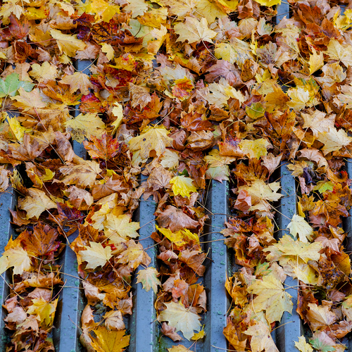 Photo #14099487