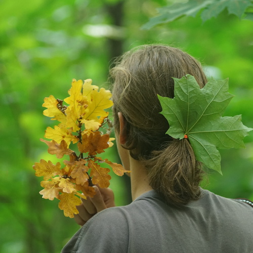 Photo #14099500
