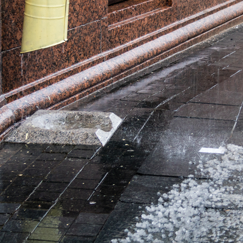 Photo #14099561