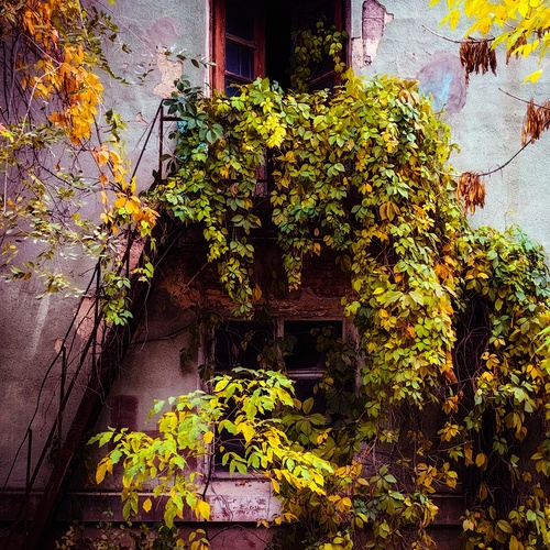 Photo #14099578