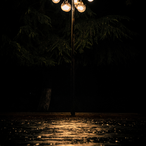 Photo #14099581