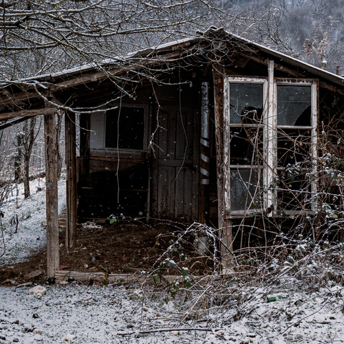 Photo #14099589