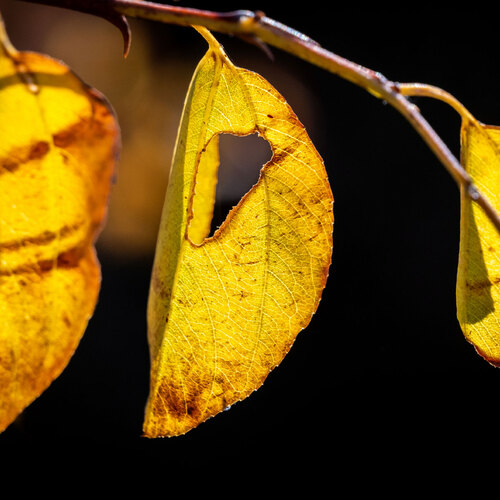 Photo #14099600