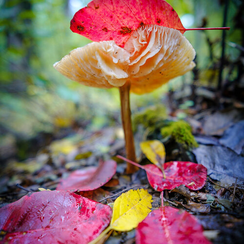 Photo #14099601