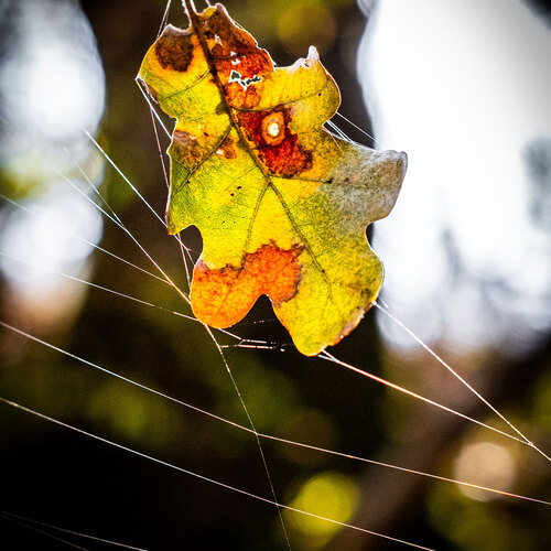 Photo #14099602