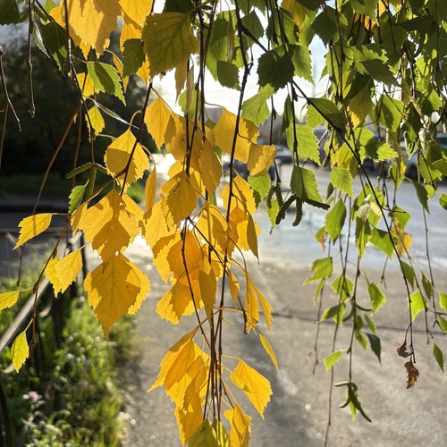 Photo #14099606