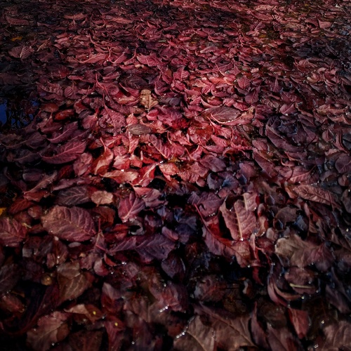 Photo #14099607