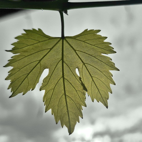 Photo #14099608