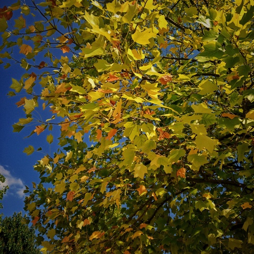 Photo #14099610