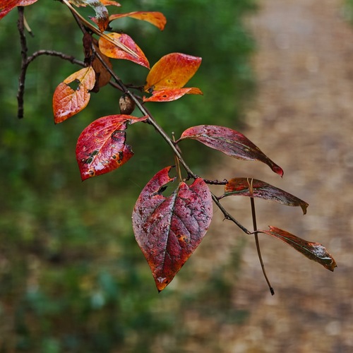 Photo #14099611